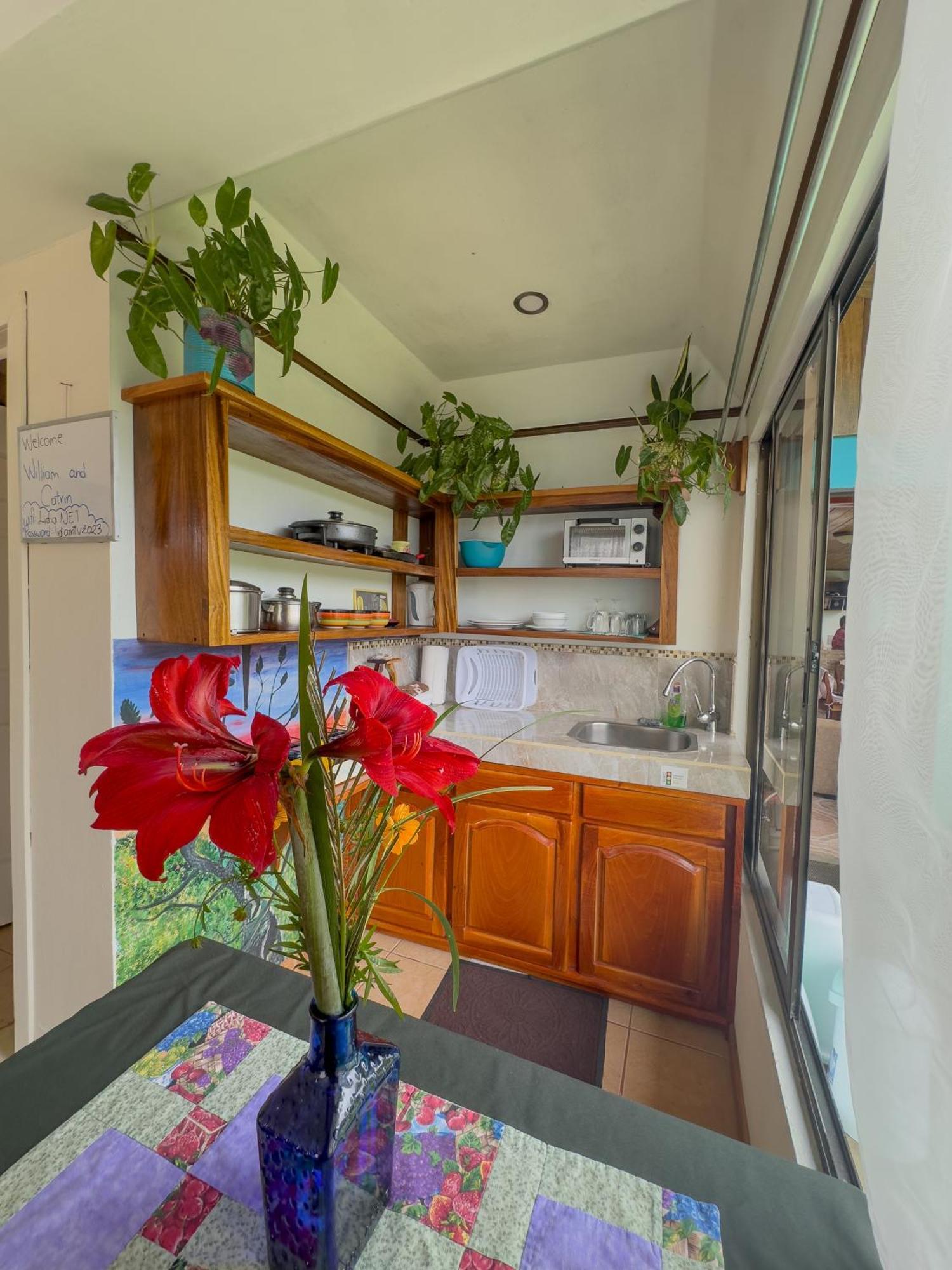 Lidia'S Mountain View Vacation Homes الجبل الأخضر المظهر الخارجي الصورة